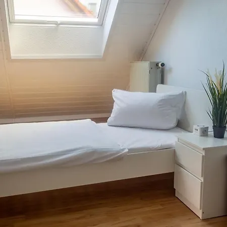 Nickel Dg Am Holzlachgraben * Alsbach-Hähnlein