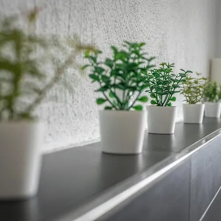 Nickel Dg Am Holzlachgraben Apartment *