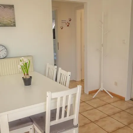 Nickel Dg Am Holzlachgraben