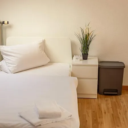 Nickel Dg Am Holzlachgraben * Alsbach-Hähnlein