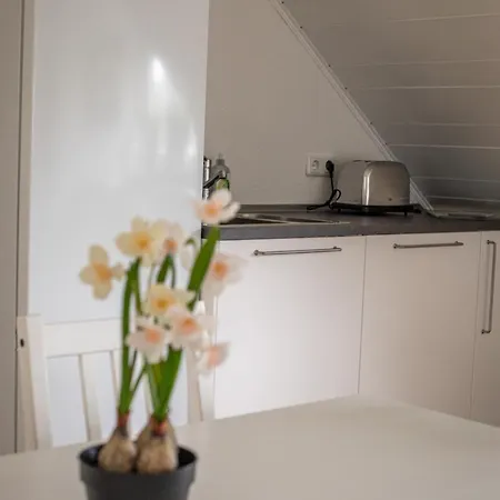 Apartment Nickel Dg Am Holzlachgraben Alsbach-Hähnlein