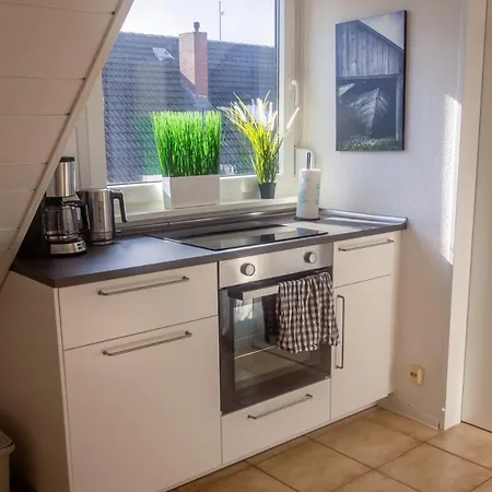 Nickel Dg Am Holzlachgraben *