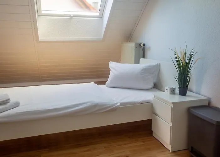 Nickel Dg Am Holzlachgraben * Alsbach-Hähnlein