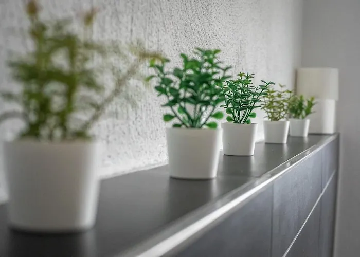 Nickel Dg Am Holzlachgraben 公寓 *