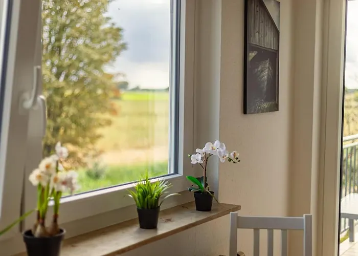 公寓 Nickel Dg Am Holzlachgraben *