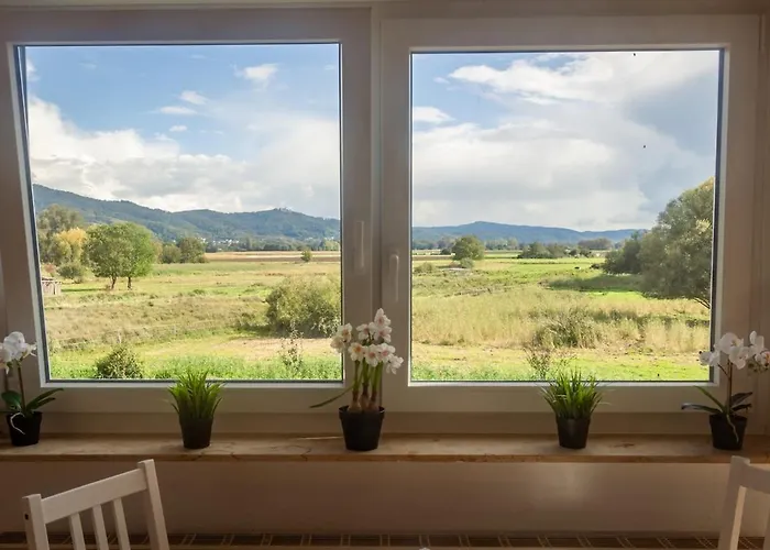 Nickel Dg Am Holzlachgraben 公寓 *