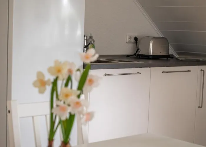 公寓 Nickel Dg Am Holzlachgraben Alsbach-Hähnlein